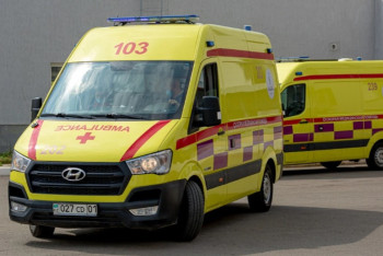 Школьника забили до смерти в уличном туалете в Жамбылской области