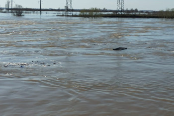 14 тысяч человек задействованы в противопаводковых работах в Казахстане