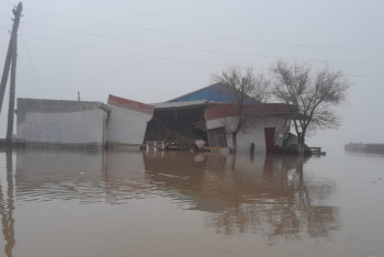 "Должны понести ответственность перед законом!" - депутат о вине акиматов в масштабах паводков
