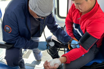 Скорпион укусил волонтёра в Атырауской области