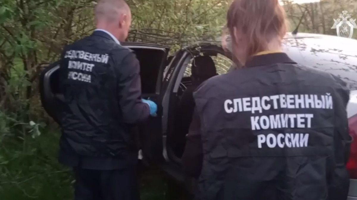 скриншот видео