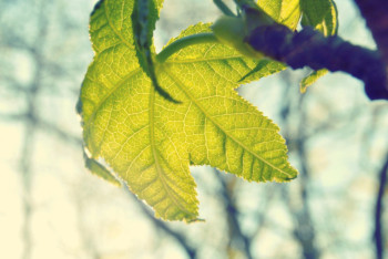 Арктическую прохладу прогнозируют синоптики в Казахстане