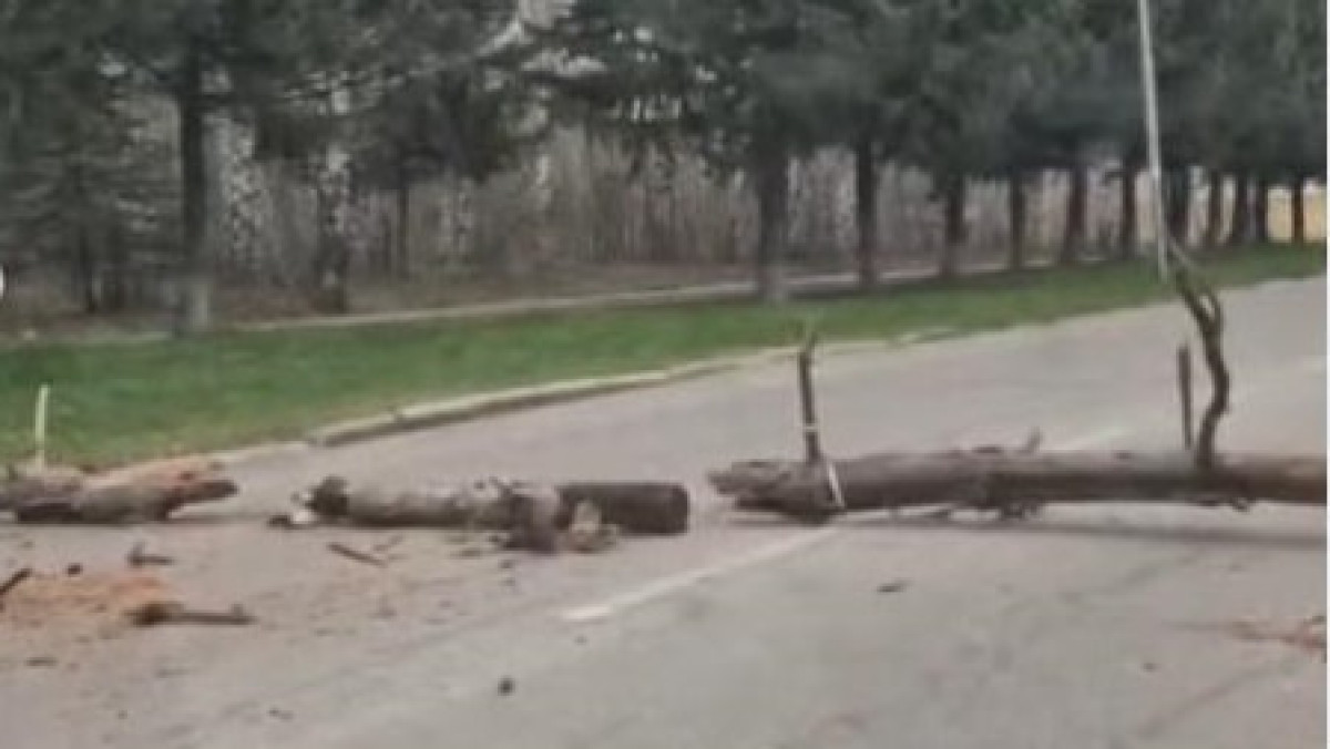 стопкадр из видео/instagram.com/eastkazpolice