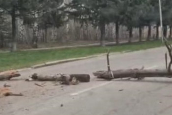 Ради забавы: жители ВКО загородили бревнами автодорогу