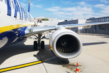 Самолет совершил аварийную посадку из-за птицы