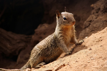Засуха в мае: синоптики уточнили прогноз погоды по Казахстану