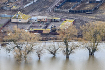 Один факт мародёрства зарегистрирован во время паводка в ЗКО