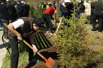 Фотография к новости: Тысячи выпускников школ приняли участие в озеленении страны