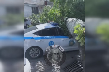 Дерево рухнуло на полицейскую машину в Алматы