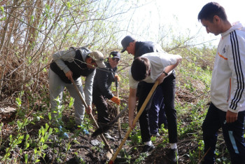 Жители области Абай провели субботник в саду ветерана Ильи Бирюкова