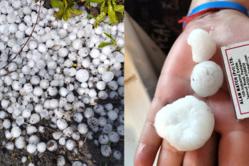 Град размером с грецкий орех выпал в СКО