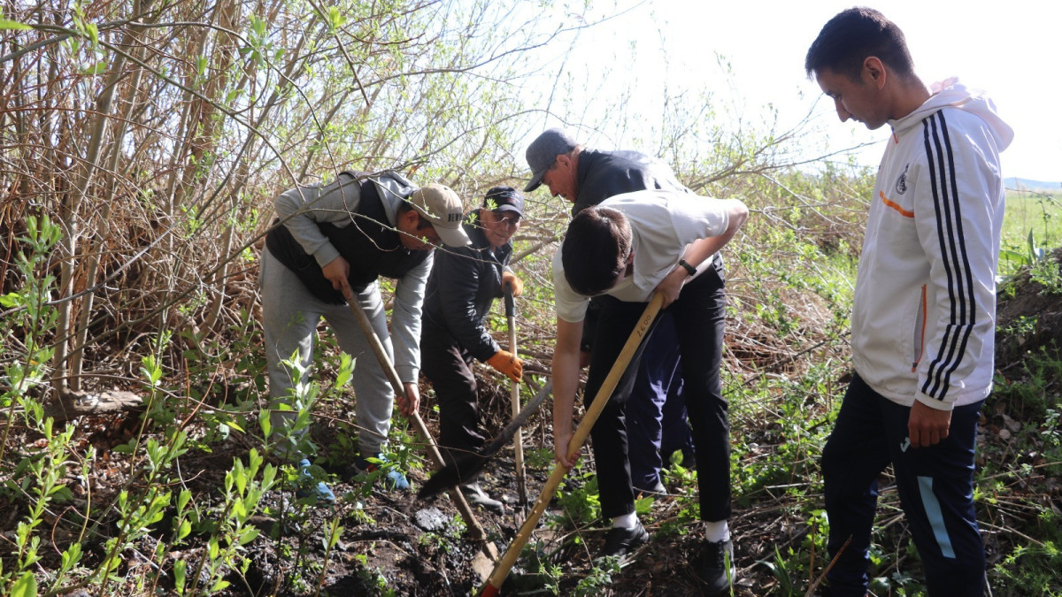 акимат области Абай
