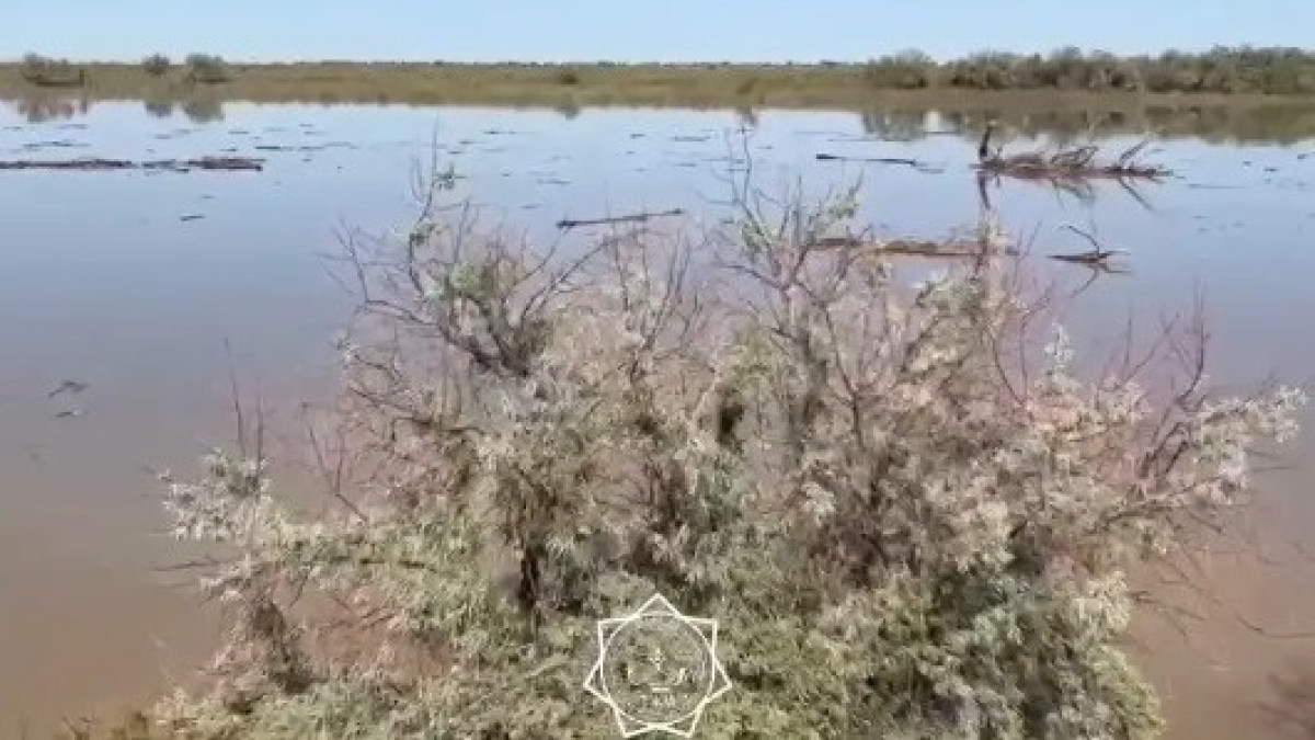 Уровень воды в реке Жайык продолжает расти