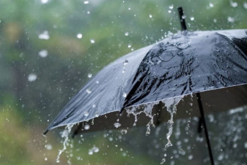 Ливневые дожди с грозами прогнозируют синоптики в Казахстане