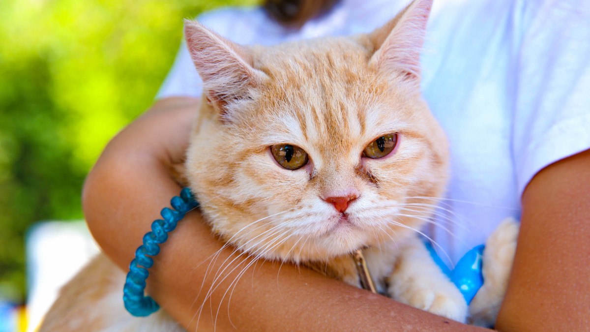 Виктор Федюнин