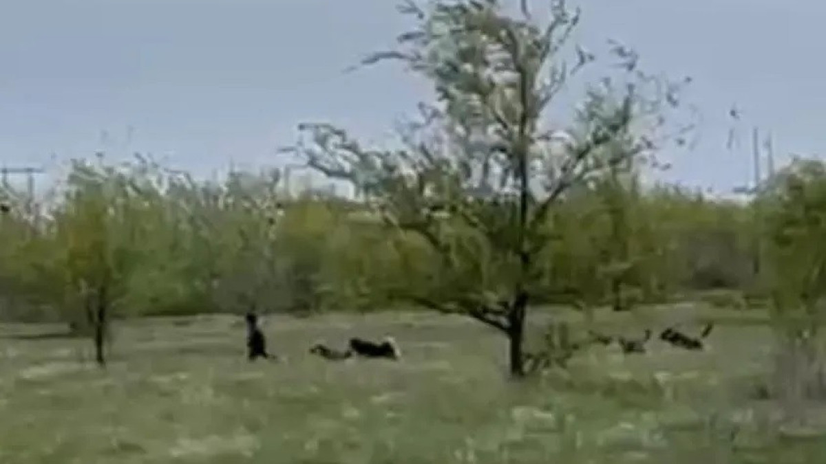 mgorod.kz