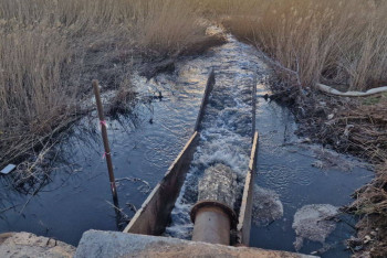 Фотография к новости: В Малый Талдыколь сбрасывают канализационные стоки?