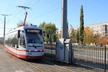 Необычный способ борьбы с комарами нашли в Павлодаре