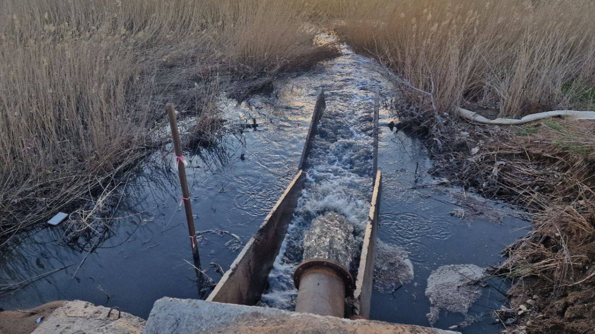 Гульнара Джусупова/BaigeNews.kz