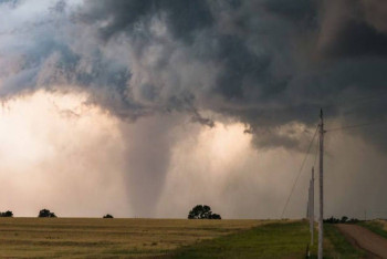 Фотография к новости: За неделю в США зафиксировали 125 торнадо