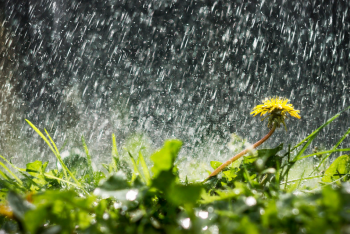 Дожди ожидаются в Казахстане