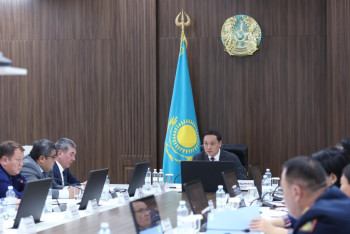 Руководителей организаций накажут после смерти мальчика в уличном туалете - Карашукеев