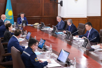 Фотография к новости: Премьер-министр РК дал поручения по подготовке к пожароопасному периоду