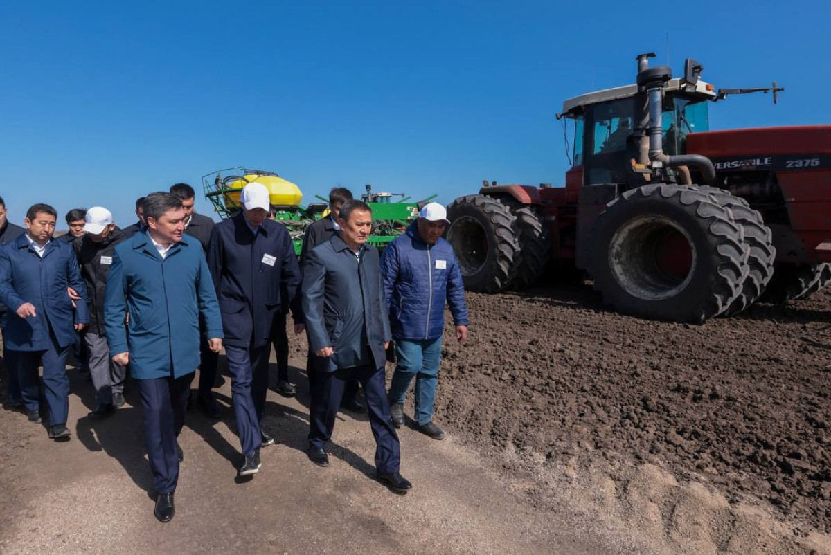 primeminister.kz