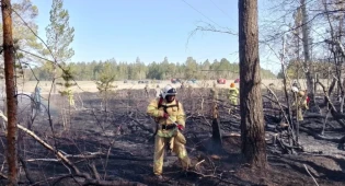 Борьба с лесными пожарами: нужно еще больше госсредств на обновление техники и оборудования