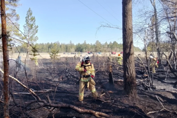 Фотография к новости: Борьба с лесными пожарами: нужно еще больше госсредств на обновление техники и оборудования