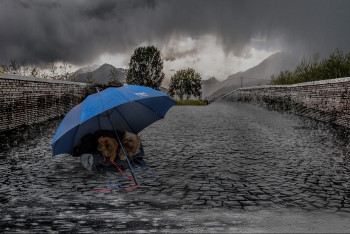 Ливень и сильный ветер: штормовое предупреждение объявлено в большинстве регионов