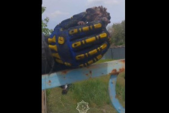 МЧС РК показало видео спасения ежа из горящего дома