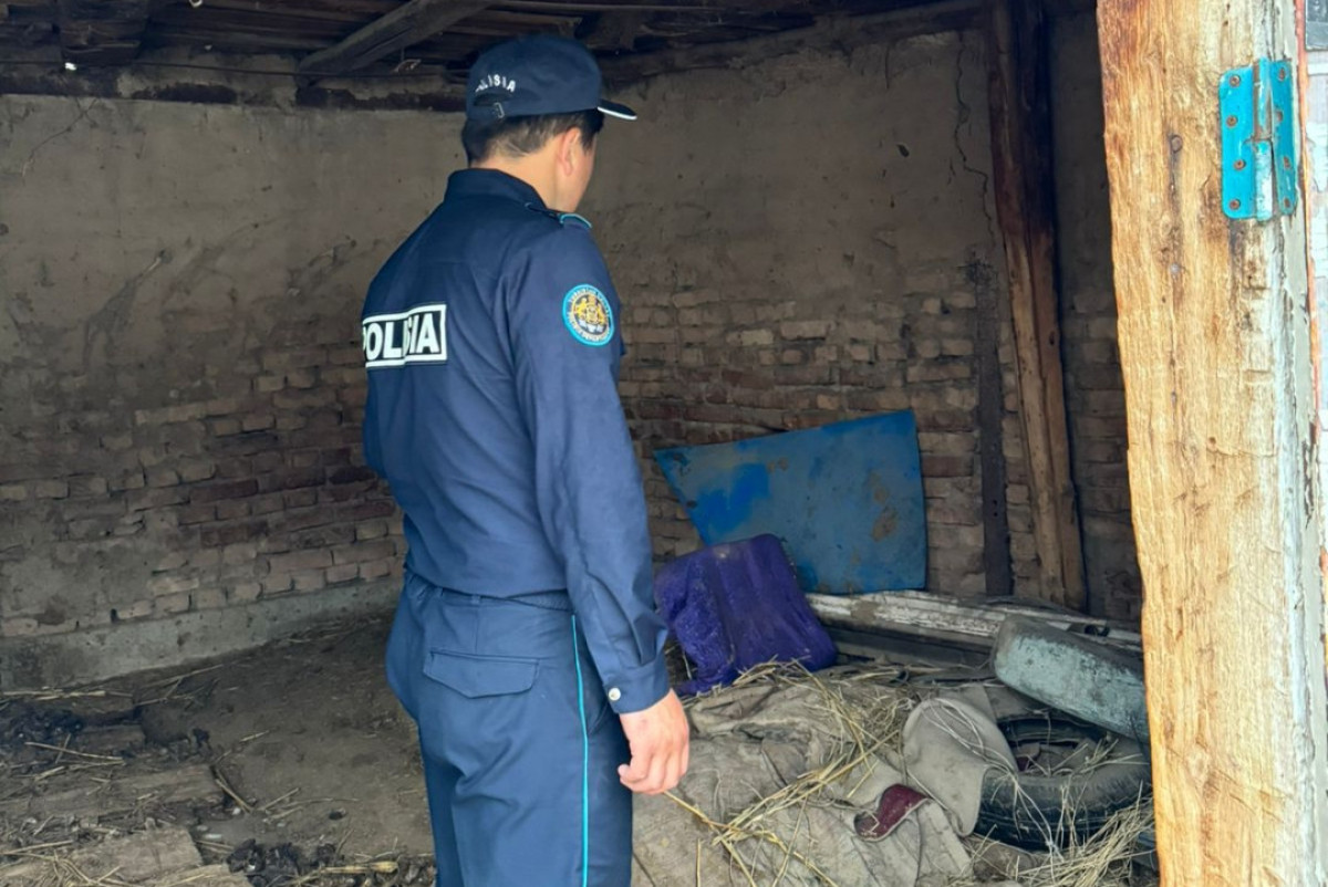 ДП Туркестанской области