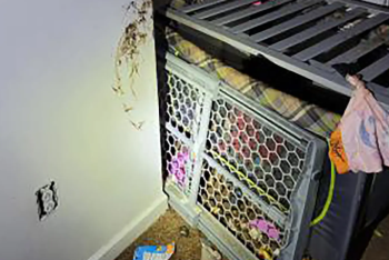 Жительница Нью-Йорка держала в клетке своего двухлетнего ребёнка