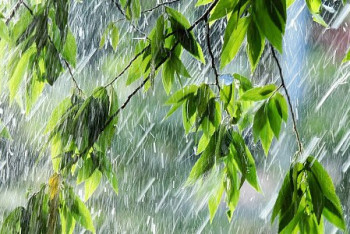 Дожди ожидаются на большей части Казахстана