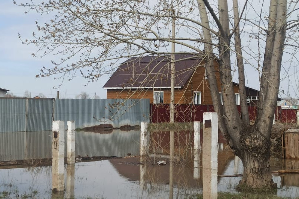 Наталья Волкова