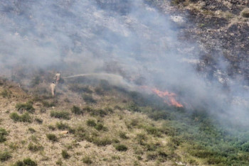 Фотография к новости: Лето будет жарким – МЧС заявило о высоком риске пожаров