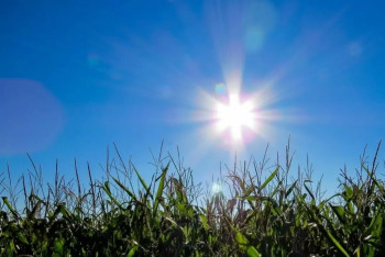 Ясную погоду прогнозируют синоптики в одном регионе Казахстана