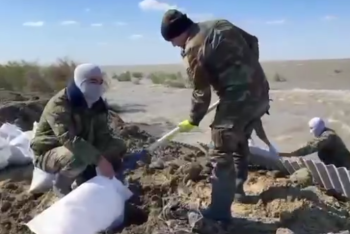 Фотография к новости: Более 200 застрявших на островах лошадей спасли близ Атырау