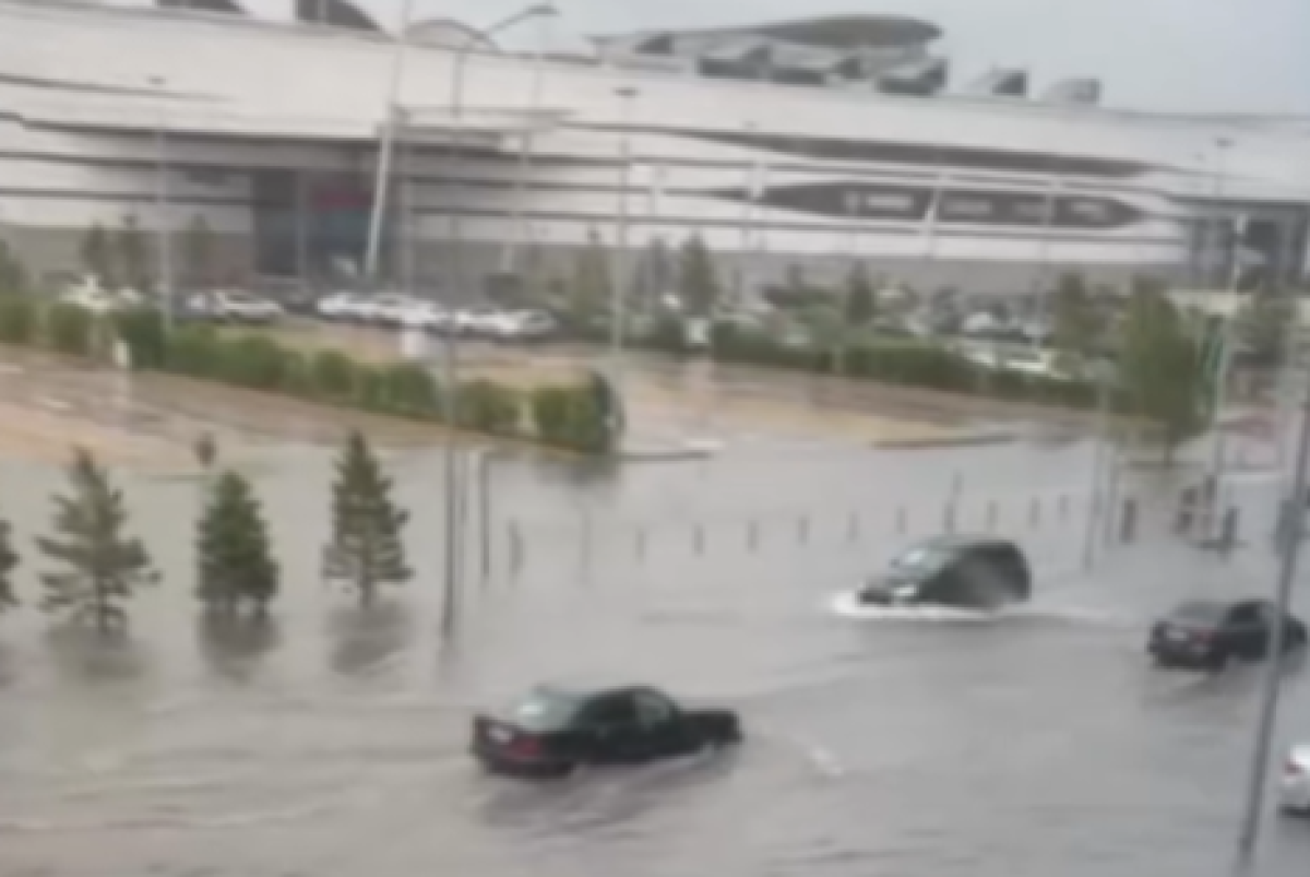 Скриншот с видео