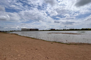 Фотография к новости: Стекло, мусор и птицы: как выглядит единственный бесплатный пляж Астаны