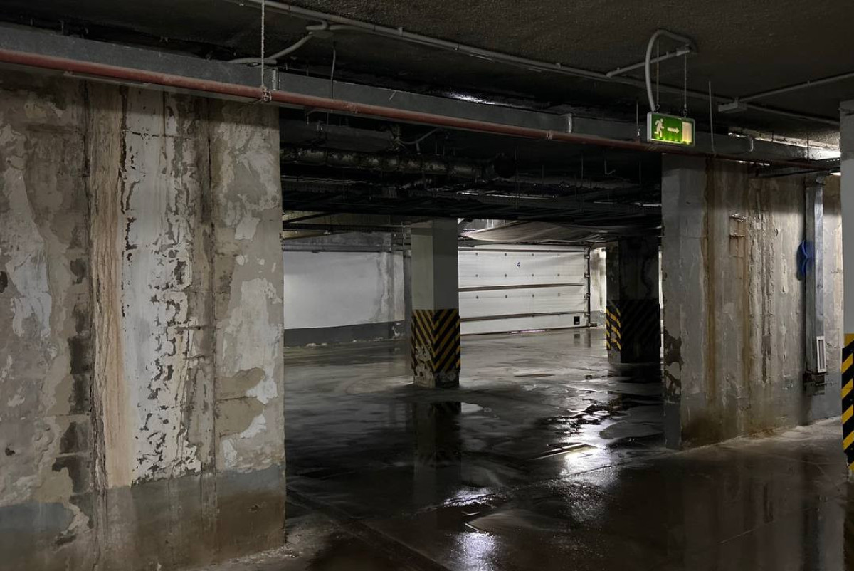 Марк Брюшко.