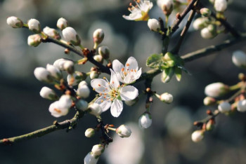 35-градусная жара придет в несколько регионов Казахстана