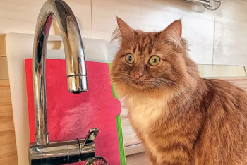 Жители Павлодара остались без воды из-за аварии