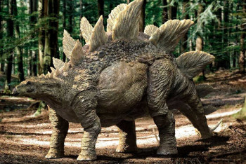 Скелет стегозавра продадут за 4-6 млн долларов