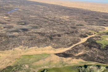 Всю ночь тушили природный пожар в Жамбылской области