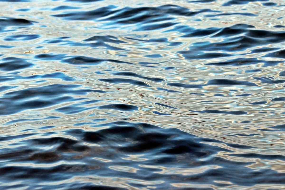 Фото: pixabay