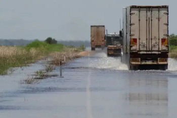 Фотография к новости: 12 сибиреязвенных захоронений и 8 скотомогильников затопило из-за паводков в Казахстане