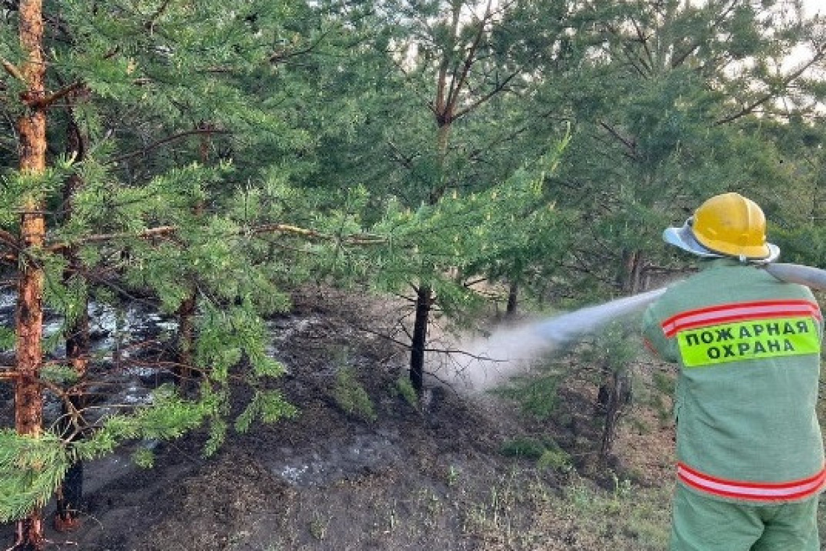 ДЧС Павлодарской области