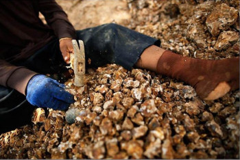 Фотография к новости: Бригады черных старателей задержали в Степногорске